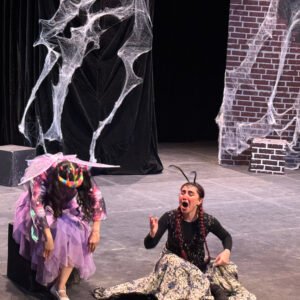 Shaparak theater Image 01