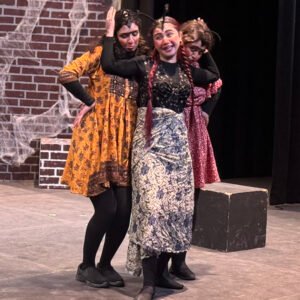 Shaparak theater Image 08