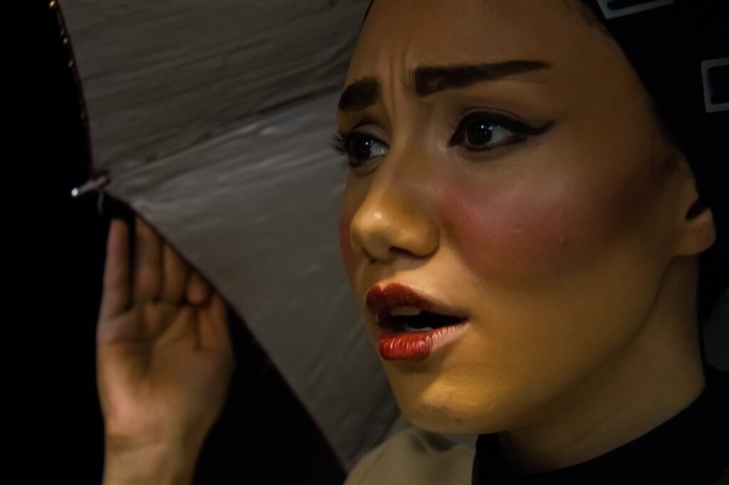 The Chinese Wife theater Performance 22